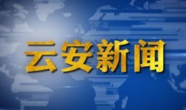 云安新闻网友爆料,云安新闻最新动态，揭秘事件背后真相