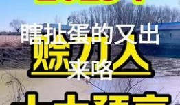 信阳头条今日爆料,揭秘背后惊人真相！